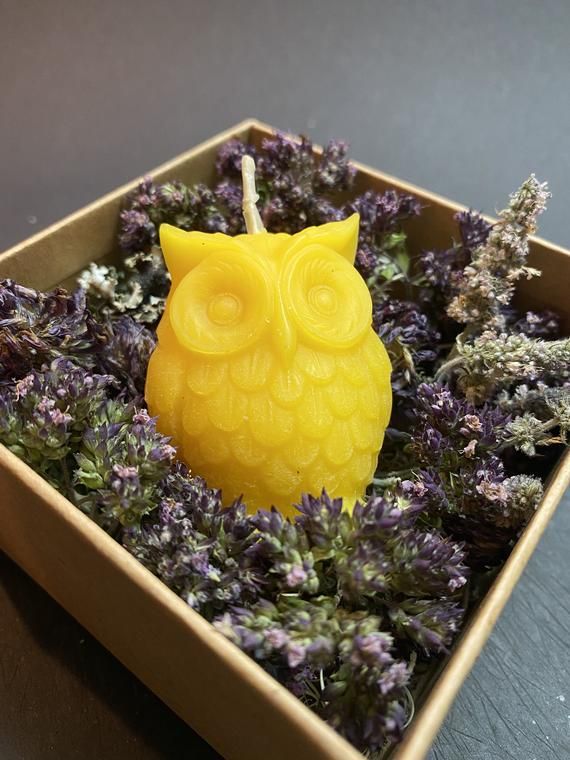 Owl Candle